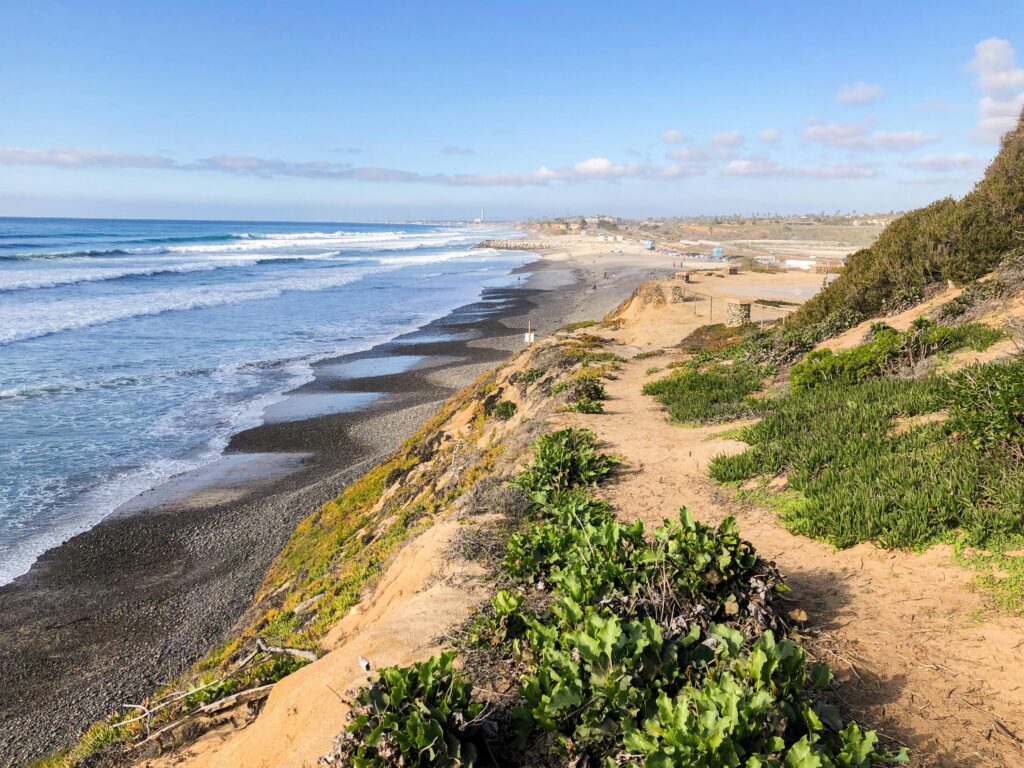 A stunning view of the Carlsbad coastline featuring vibrant greenery and waves.